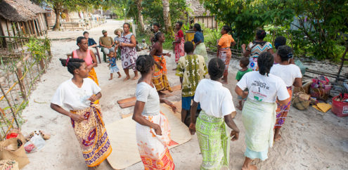 The local village of Ambodiforaha is a short walk from the lodge. A traditional women’s dance and song group performs at the lodge for all our clients as part of the standard itinerary.