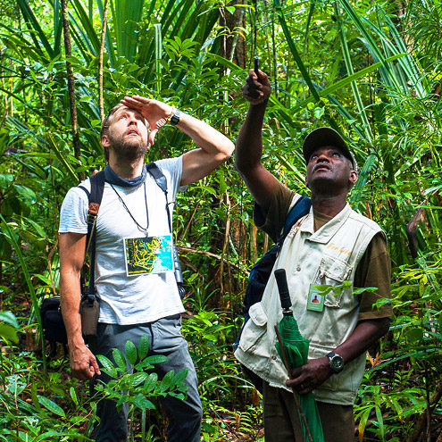 Your guide will bring the jungle alive for you as they share their knowledge of Madagascar's amazing flora, fauna, bird, insect and wildlife.